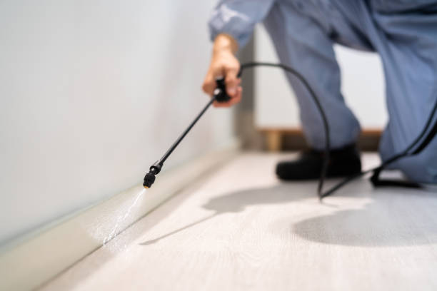 Professional Pest Control in Elliston, VA